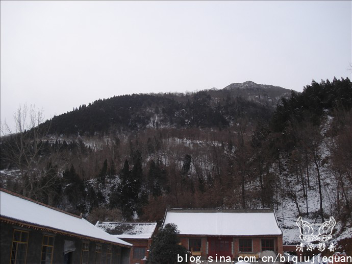 后山已积雪。如此天气，腿子一盘，啥事没有，托三宝福，衣食无忧。感恩佛陀慈光，居士护持，我等得以安心办道。